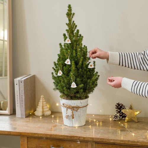 Bæredygtige og genbrugelige juletræer 